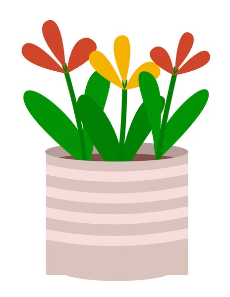 Flores interiores em vaso, planta da casa para decoração —  Vetores de Stock