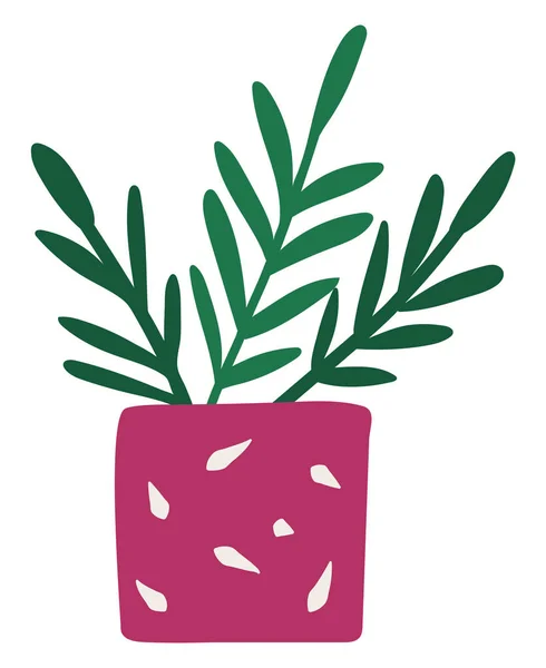 Plant with Leaves in Pink Flowerpot Symbol Vector — Διανυσματικό Αρχείο