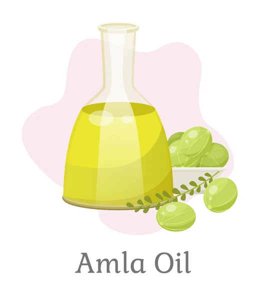 Amla Oil in Glass Vessel, Indian Gooseberries — Wektor stockowy