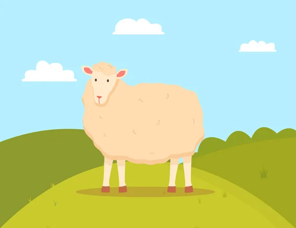 Young Sheep Domesticated Ruminant Animal, Mutton — Stock Vector