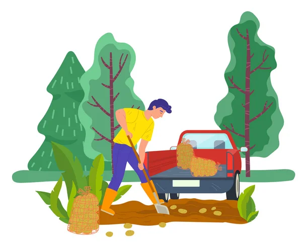 Homme Récolte de pommes de terre, Homme agricole avec camion — Image vectorielle