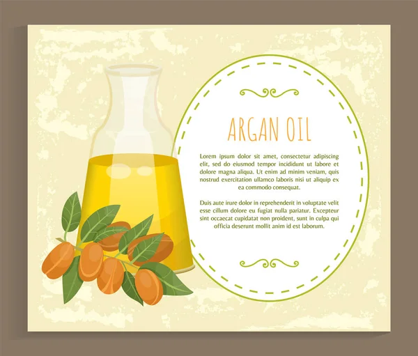 Argan Oil in Bottle, Argania的资料 — 图库矢量图片