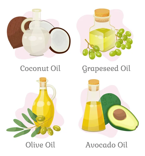 Комплект из кокосового и графического масла, оливок и авокадо — стоковый вектор