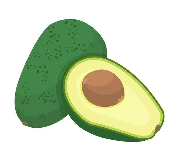 Aguacate verde, rebanada de fruta madura con semilla grande — Vector de stock