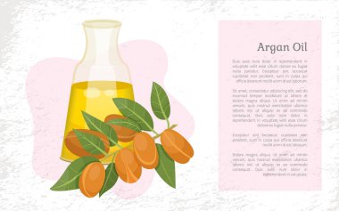 Şişedeki Argan Yağı Hakkında Bilgi, Argania