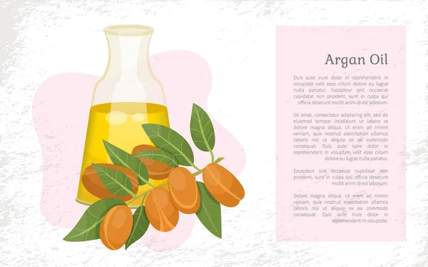 Informacje o oleju arganowym w butelce, Argania — Wektor stockowy
