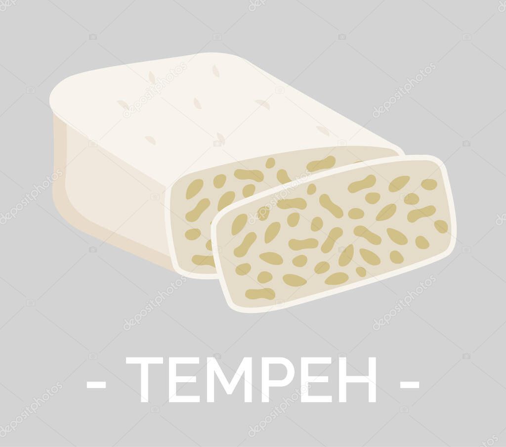 Tempeh Fermented Food of Soybeans Asian Dishes
