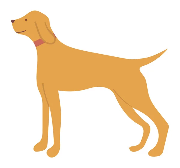 Hunting Dog Pointer Isolated Cartoon Animal Vector — Stock Vector