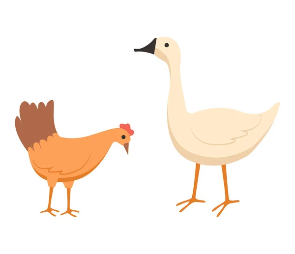 Oca e pollastrella a fattoria vettoriale agricoltura — Vettoriale Stock