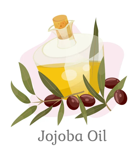 Olio di Jojoba dorato in vaso, ramo con Drupe — Vettoriale Stock