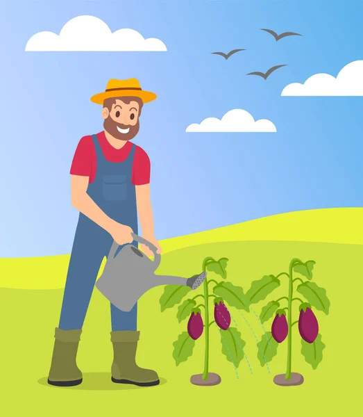Man farmer öntözés padlizsán zöld dombok háttér vidéken, rajzfilm vektor karakter — Stock Vector