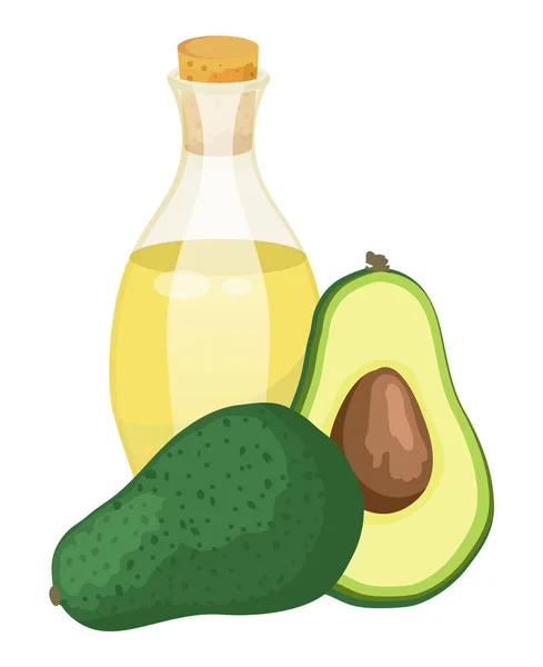 Frutas de abacate e óleo em Jar, Cosméticos Essence — Vetor de Stock