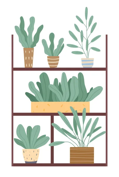 Plantes poussant en pots ou en jardinières. Ensemble de plantes d'intérieur vertes et de fleurs — Image vectorielle