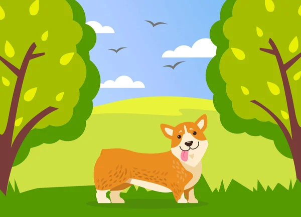 Gelukkige schattige corgi hond loopt in het groene zomerpark. Grappige gember puppy met korte pootjes en tong — Stockvector