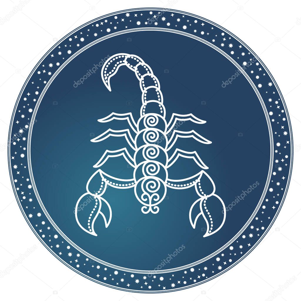 Scorpio Zodiac Sign Astrology and Horoscope Vector