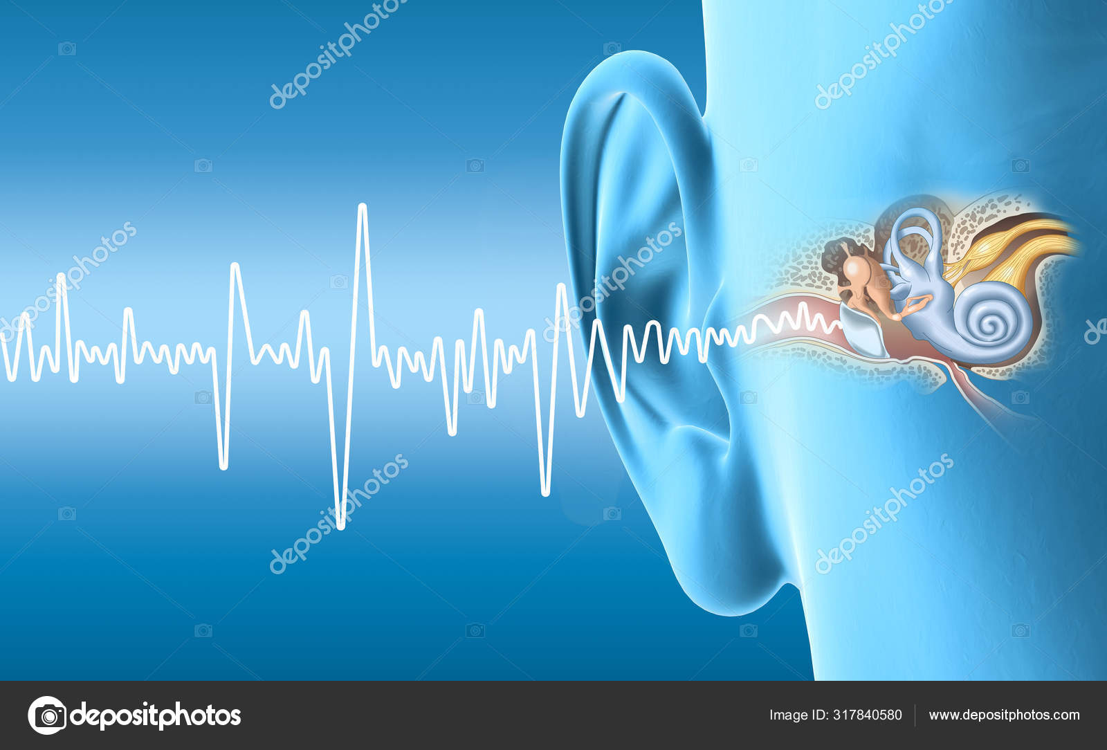 волна в ушах. восприятие звука в ухе. звуки уха. волна в ушах. звуковая волна в ухе.