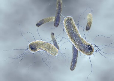 E. coli, escherichia coli bakterisi, tıbbi olarak 3D illüstrasyon
