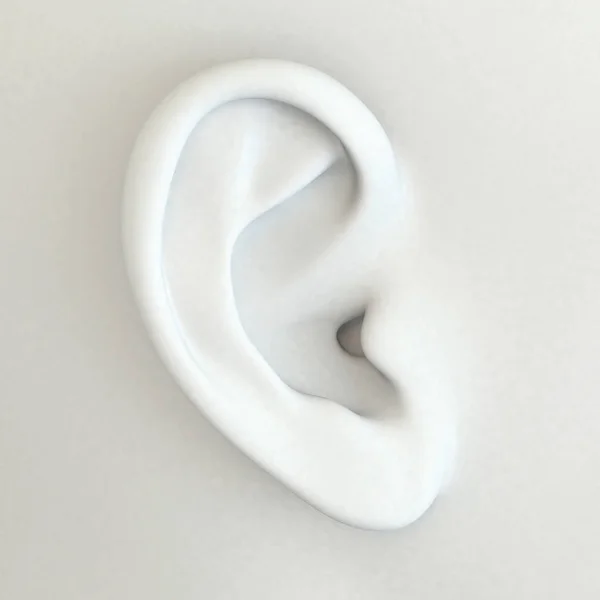 Lidské ucho, zblízka, 3D ilustrace — Stock fotografie