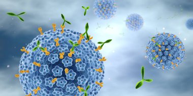 Antikorlar insan papillomavirüsü Hpv 'e saldırıyor. Tıbbi 3 boyutlu nefret.
