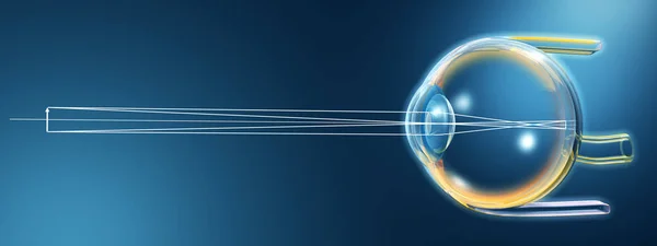 Human eye, transparent side view, medically 3D illustration