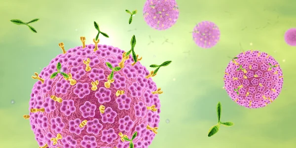 Humant papillomvirus Hpv märkt med antikroppar, 3d illustraion — Stockfoto