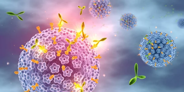 Anticorpos que atacam papilomavírus humano (HPV), ilustração médica 3D — Fotografia de Stock