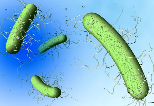 Наукова 3D ілюстрація бактерії clostidium — стокове фото