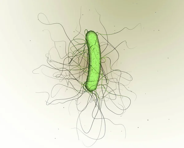 Bacterium clostridium difficile, ilustración científica 3D — Foto de Stock