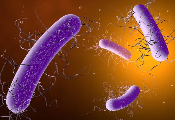 Bacterium clostridium difficile, ilustración científica 3D —  Fotos de Stock