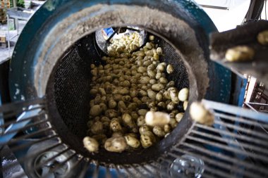 İş sırasında patates yıkama makinesi. Patates için paket ipi. Patates kazmak için çiftlik makineleri. Hasat zamanı.