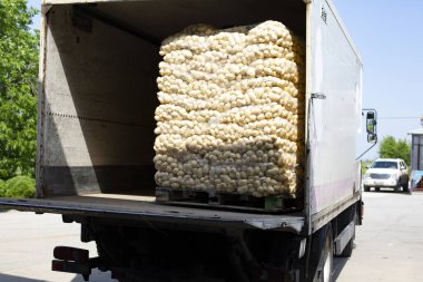 Palet dolusu ağ torbası ve bir nakliye kamyonunda patates. Ulaşım için patates yüklüyorum..