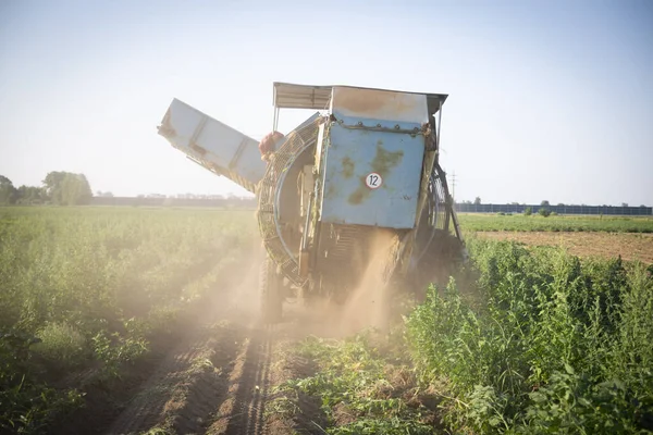 A potato-lifting on a sunny day. An old, blue combine harvester during a work. Digging potatoes on a field. — Stock Photo, Image