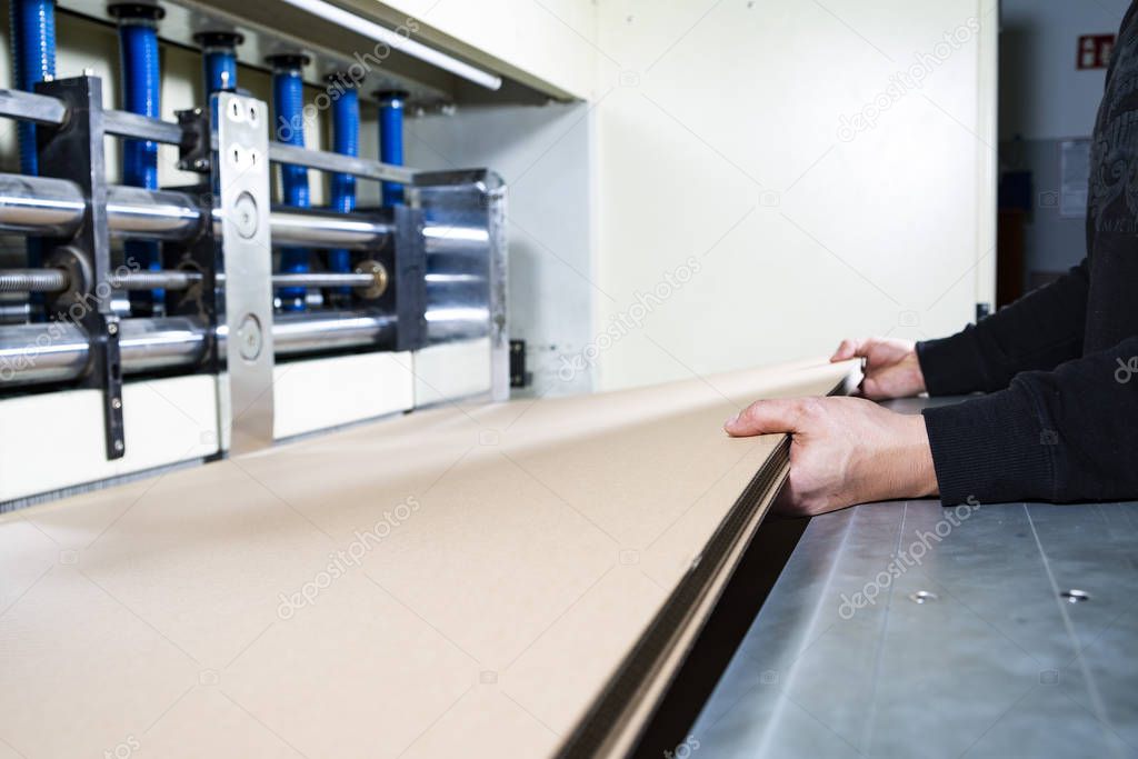 Cardboard boxes production. Worker holding carton sheets in his hands in a production hall in a factory.