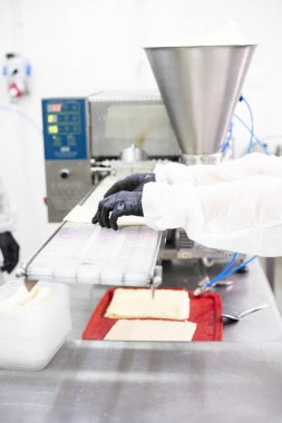 Gıda üretim hattı, bir gıda fabrikasında hazır yemek üretimi için bir makine..