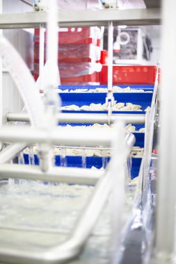 Yiyecek fabrikası. Gıda üretim tesisi. Üretim hattı.