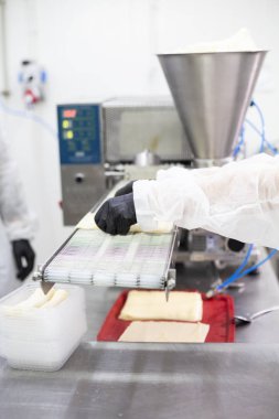 Gıda üretim hattı, bir gıda fabrikasında hazır yemek üretimi için bir makine..