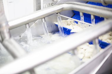 Yiyecek fabrikası. Gıda üretim tesisi. Üretim hattı.