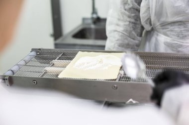 Gıda üretim hattı, bir gıda fabrikasında hazır yemek üretimi için bir makine..