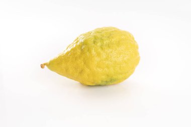 Olgun sitron beyaz arka planda izole edilmiş. Etrog - Yahudi Sukkot festivalinin sembolü.