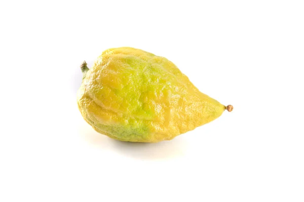 Rijp gele citron geïsoleerd op een witte achtergrond. Etrog - symbool van Joods Sukkot festival. — Stockfoto