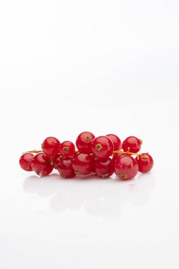 Red currant, sprig of fruits isolated on white background