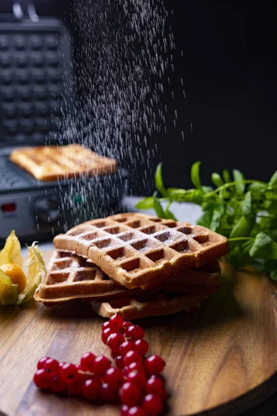 Sifting powdered sugar on classic golden Belgium waffles — Stock Photo, Image
