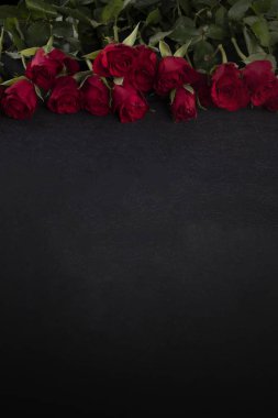 Valentine Day frame. Red roses on the upper edge on a dark background with a copyspace