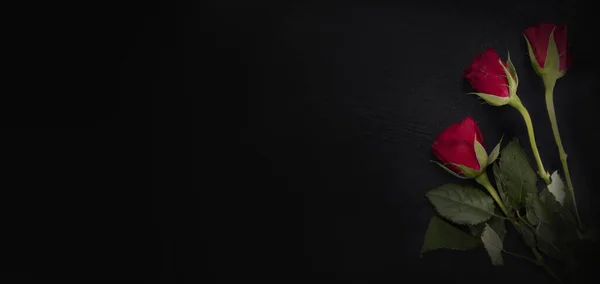 Valentine's Day, special occasion. Red roses on a black background with a copyspace, wide view.