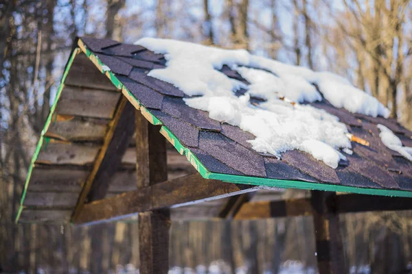 Ormanın karanlık çatısında eriyen karlar.