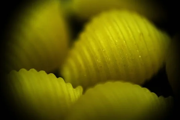 Yenilenmiş ham kabuklu makarna