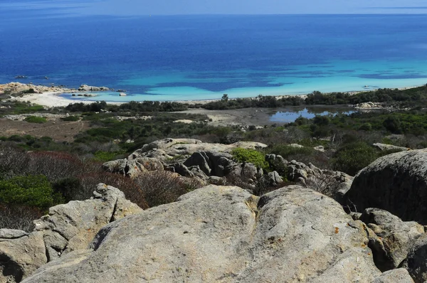 Kawałek parku narodowego Asinara — Zdjęcie stockowe