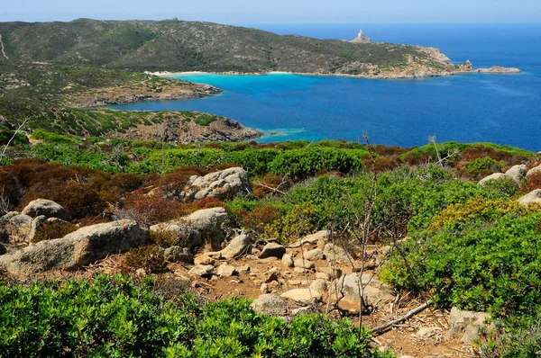 Wyspie Asinara w Sardynia — Zdjęcie stockowe
