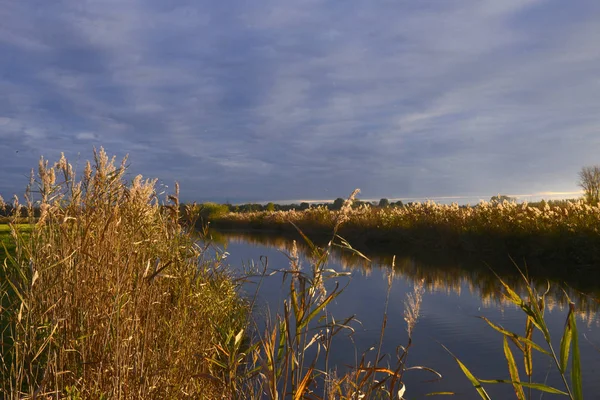 PARQUE DEL MINIO DEL RÍO — Foto de Stock