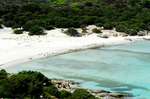 Pláž v národních Park Asinara — Stock fotografie